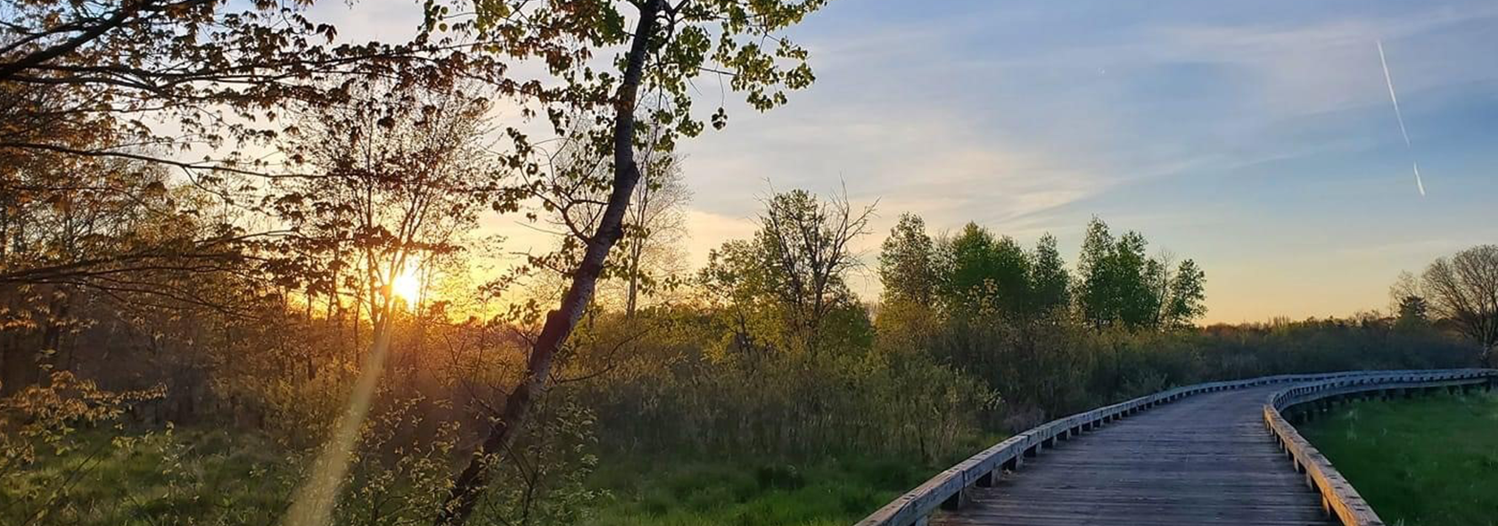 sunsetview